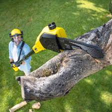 Best Aeration Services  in Abernathy, TX